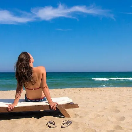 Absolute Beachfront House Ii *